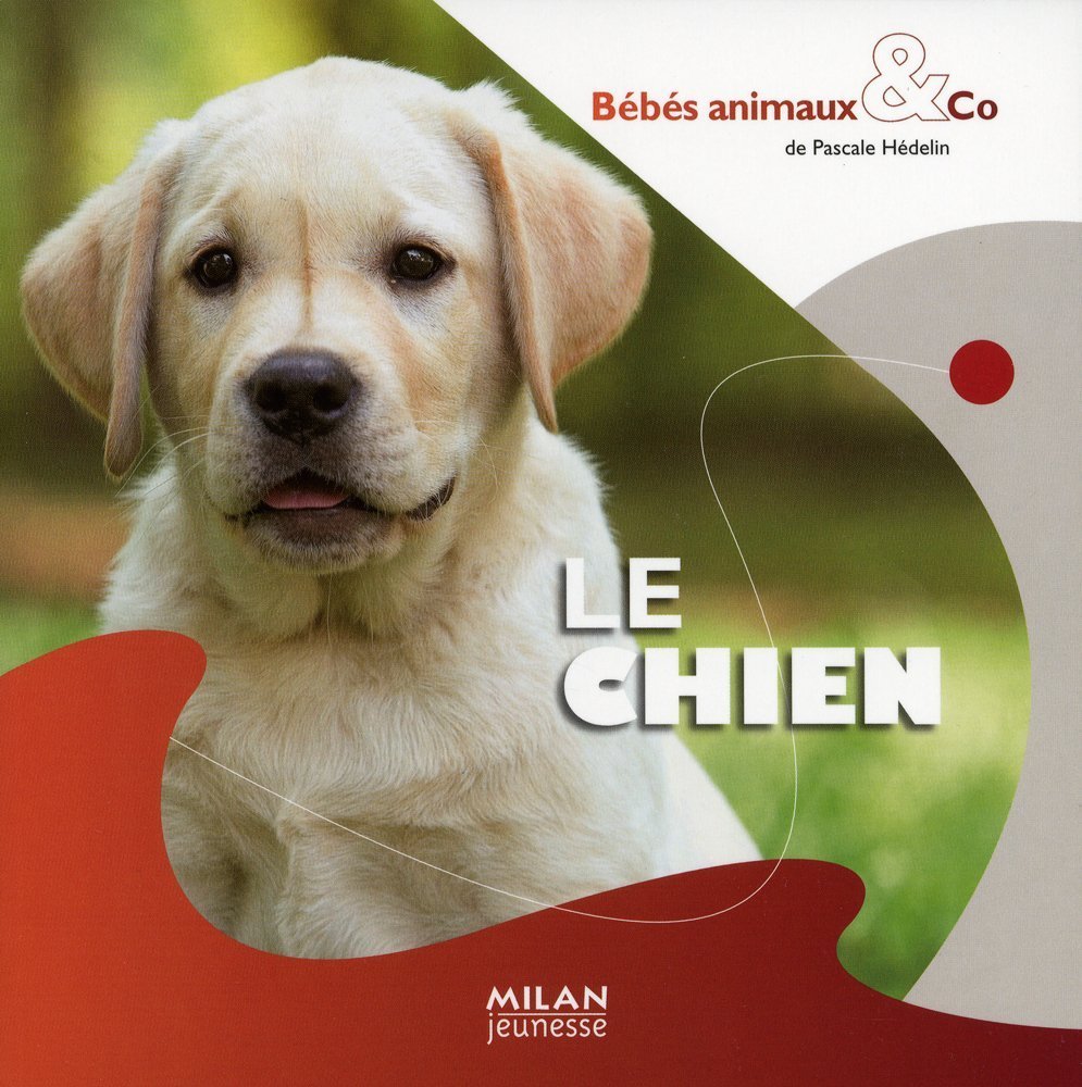 Le chien 9782745938794