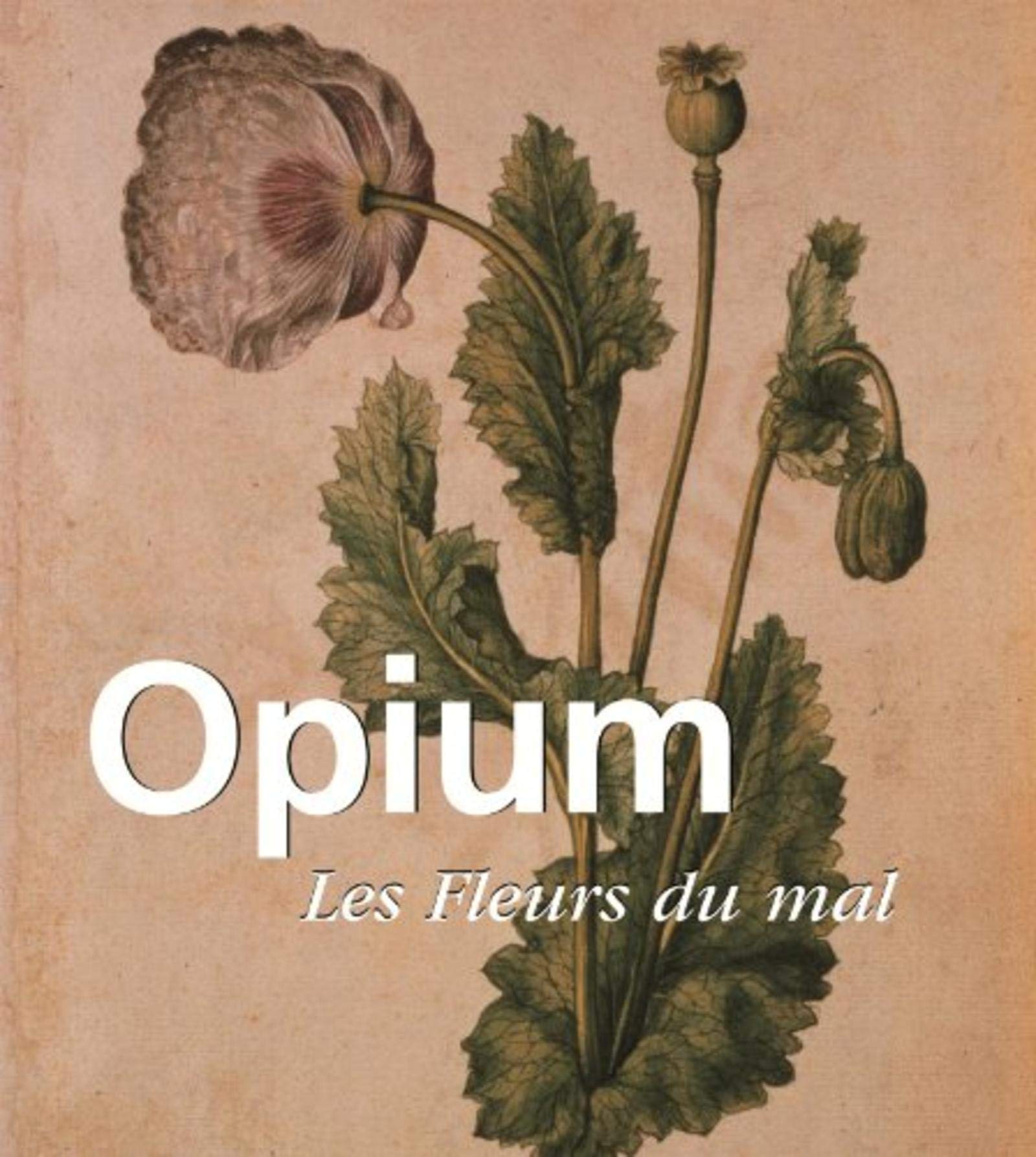 Opium - Les fleurs du mal 9781783101153