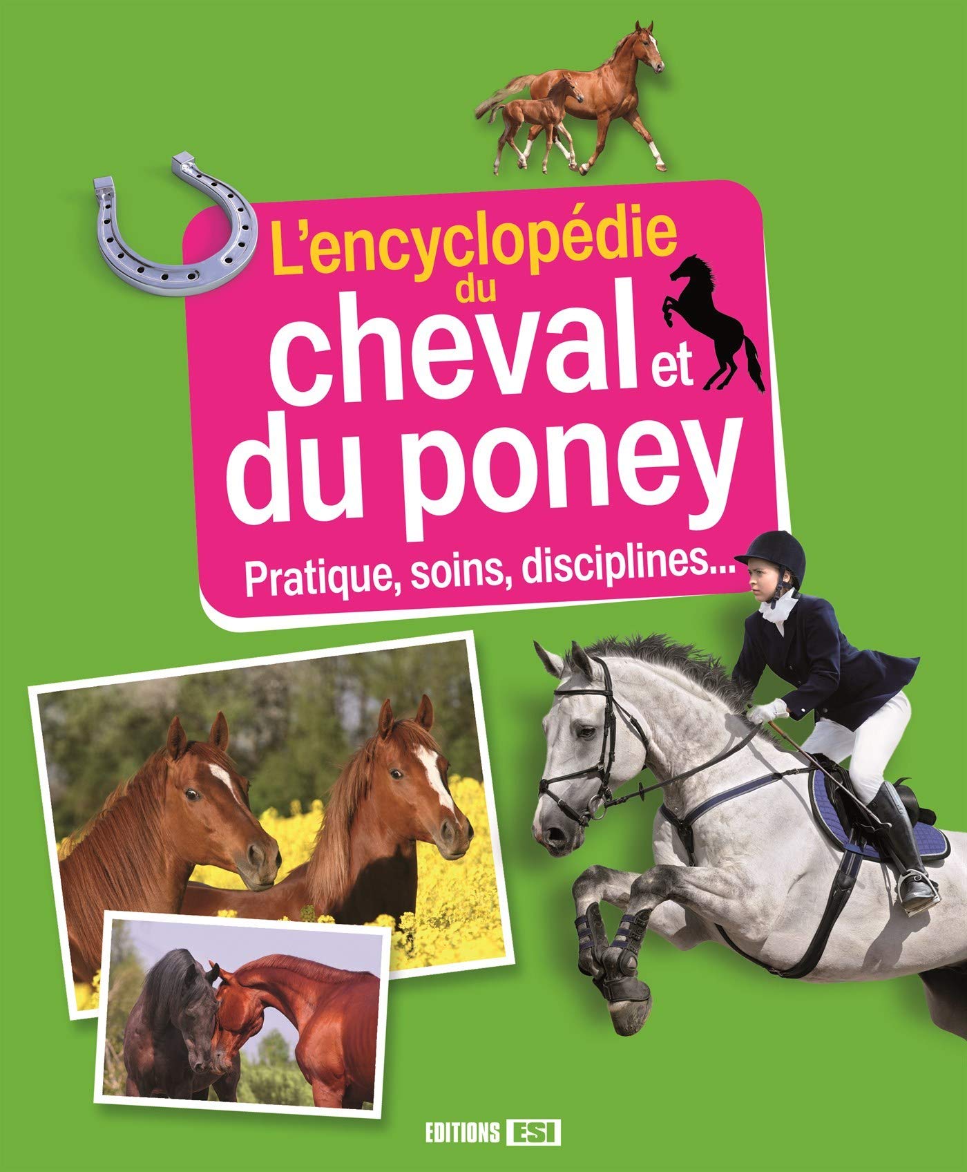 L'encyclopédie du cheval et du poney: Pratiques, soins, disciplines... 9782822604291