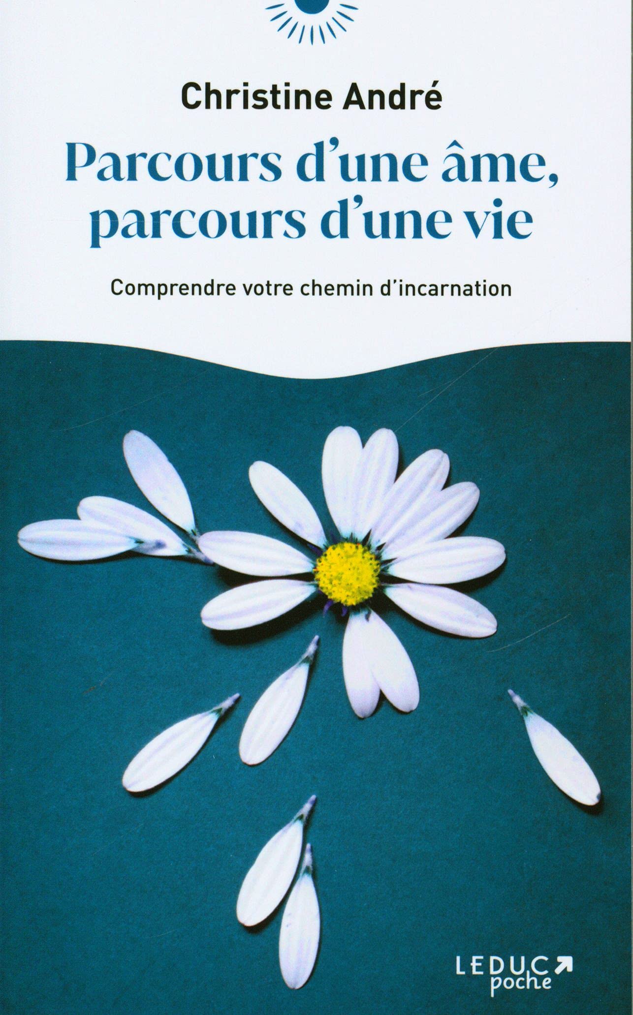 Parcours d'une âme, parcours d'une vie: Comprendre votre chemin d'incarnation 9791028520861