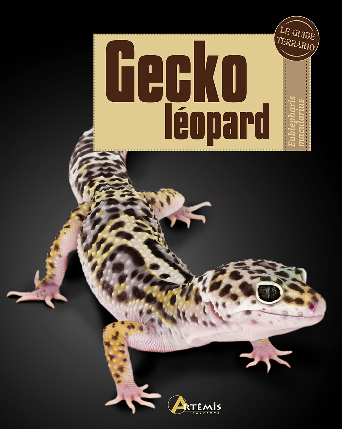 Gecko léopard 9782816002560