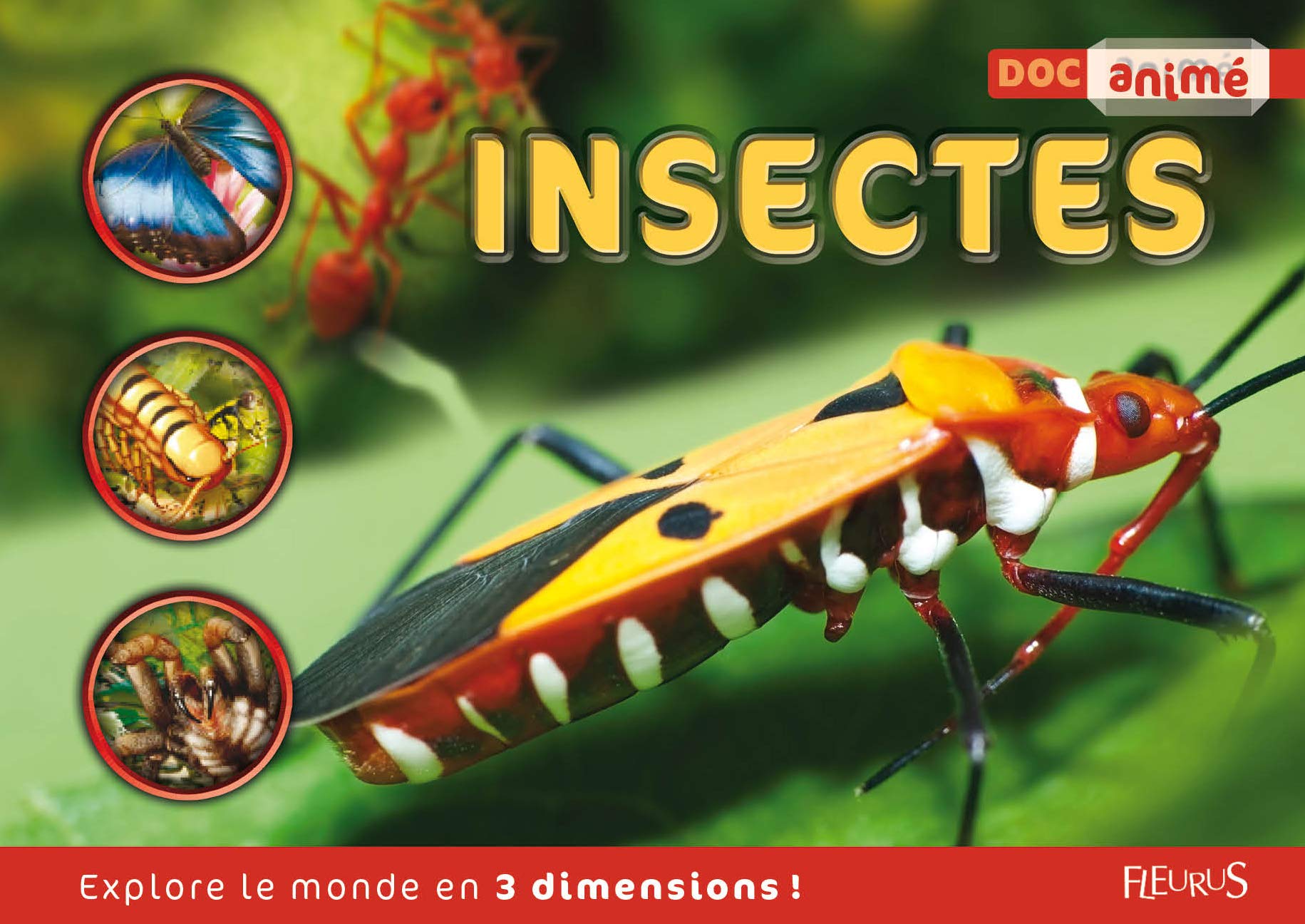 Insectes 9782215108207