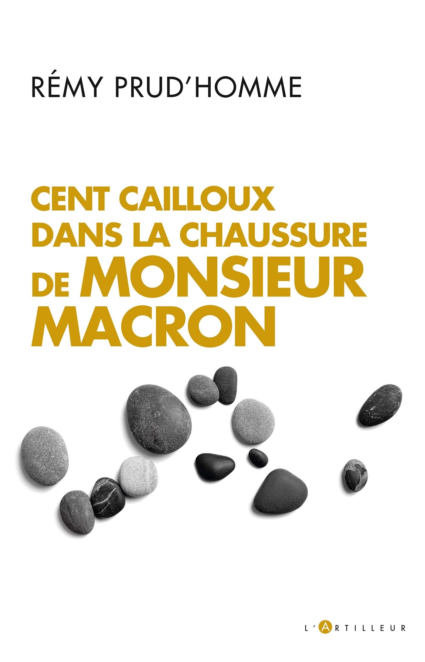 Cent cailloux dans la chaussure de M. Macron 9782810010103