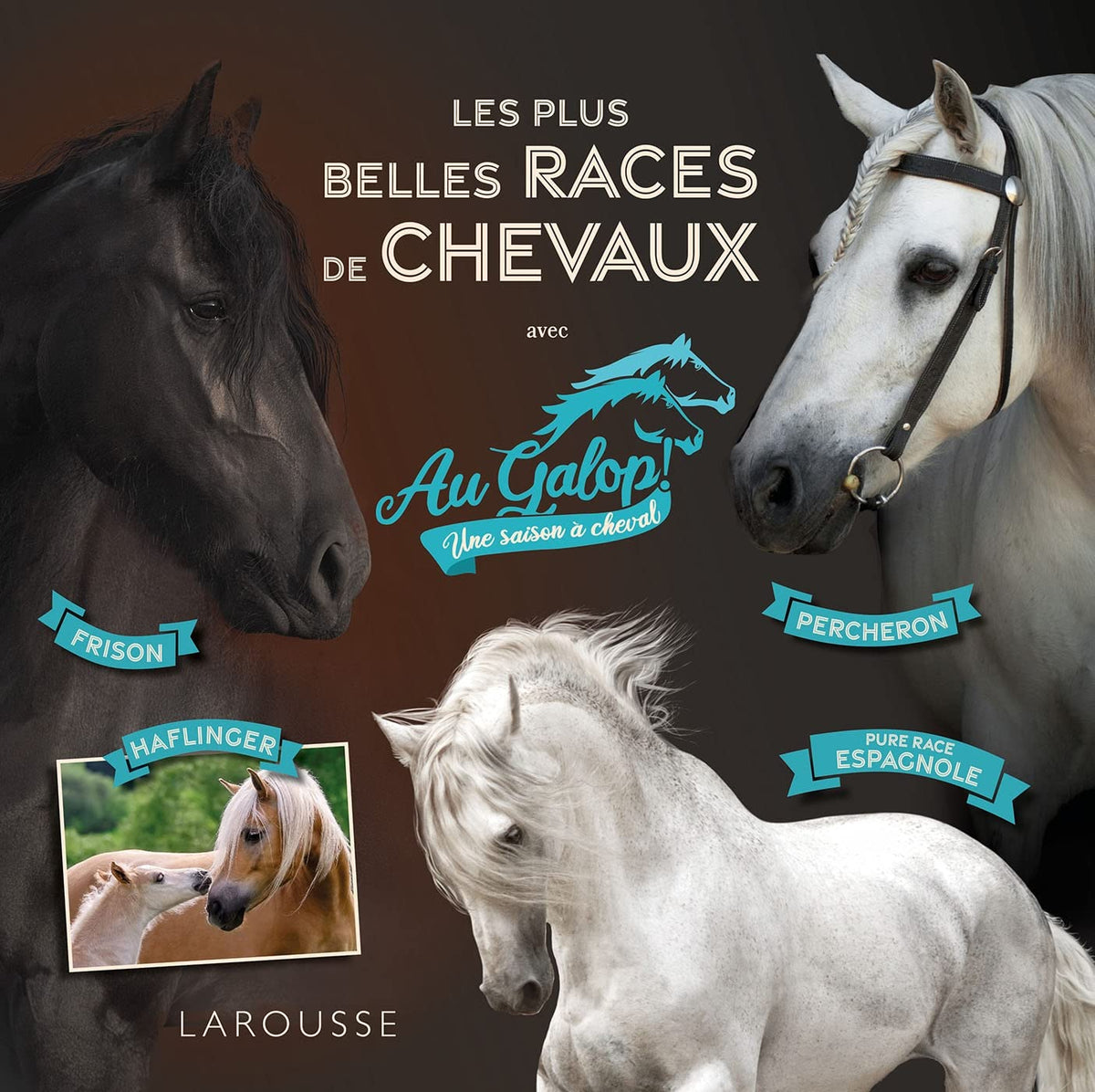 Au galop - Les plus belles races de chevaux 9782036040632