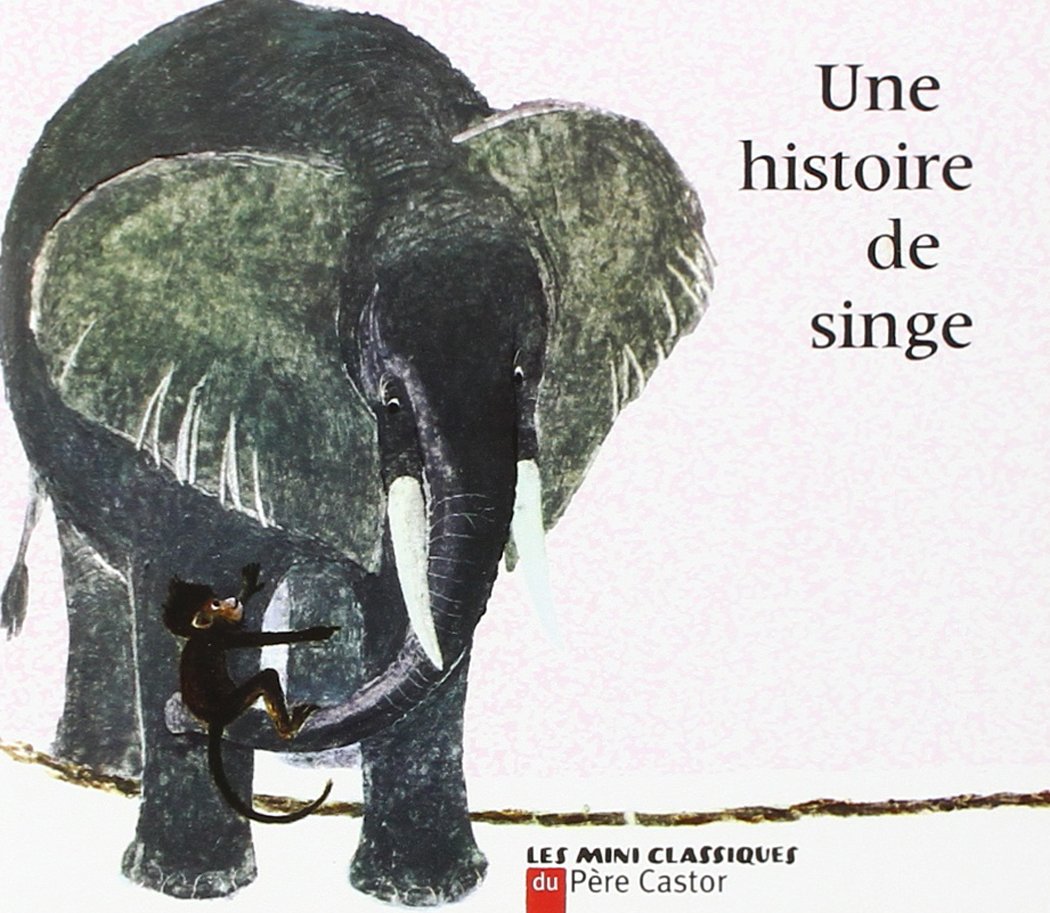 Une histoire de singe 9782081660021