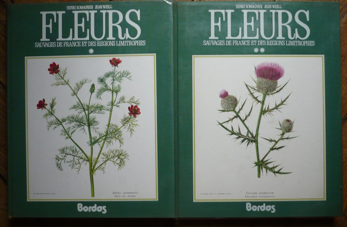 Fleurs Sauvages De France et Des Régions Limitrophes (2 Tomes) 