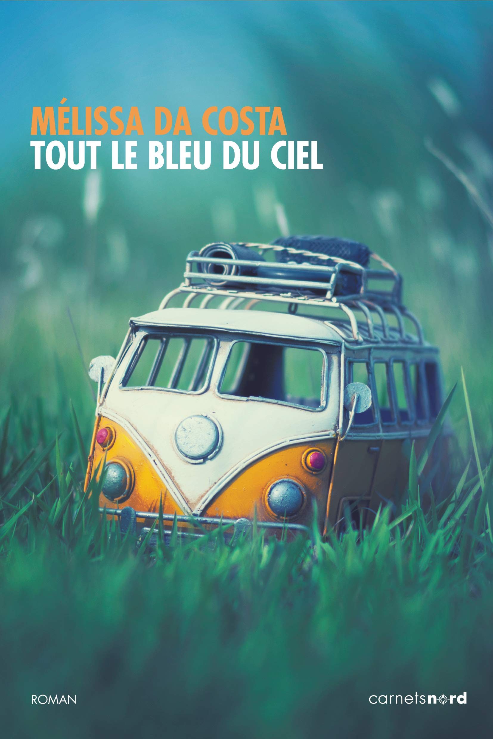 TOUT LE BLEU DU CIEL 9782355363245