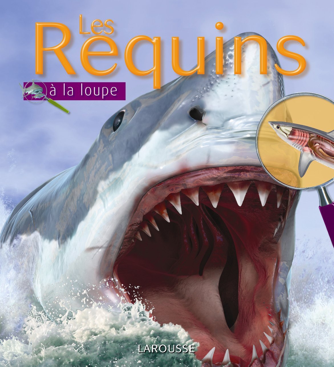 Les Requins 9782035841155