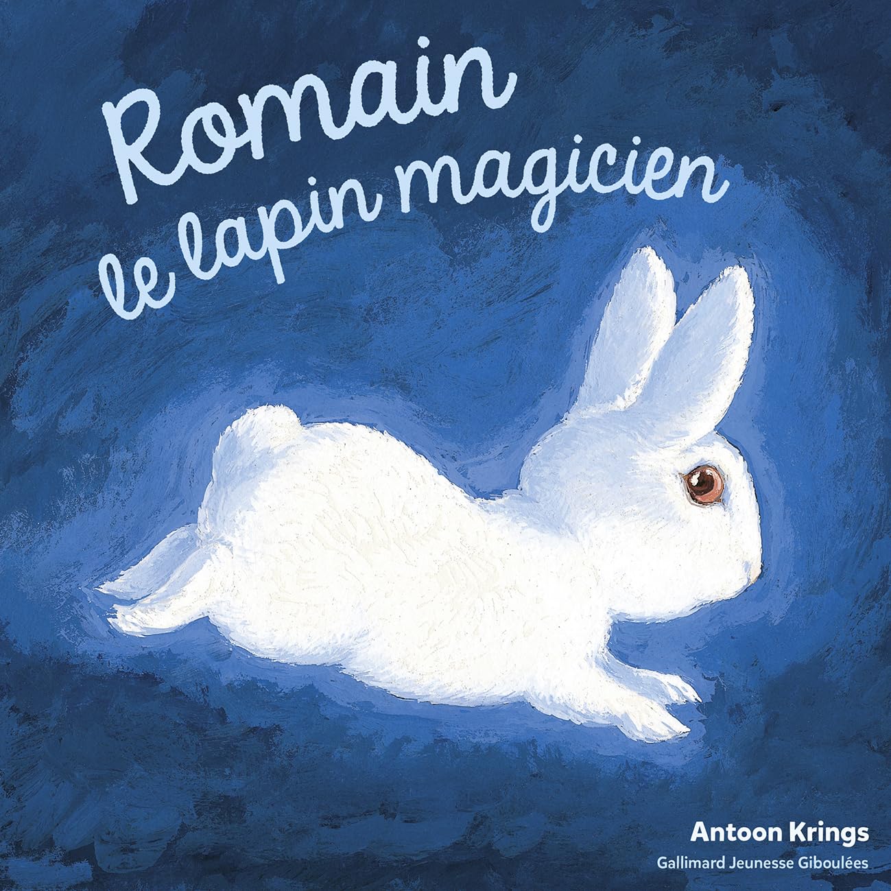 Les Drôles de Petites Bêtes - ROMAIN LE LAPIN MAGICIEN 9782075080729