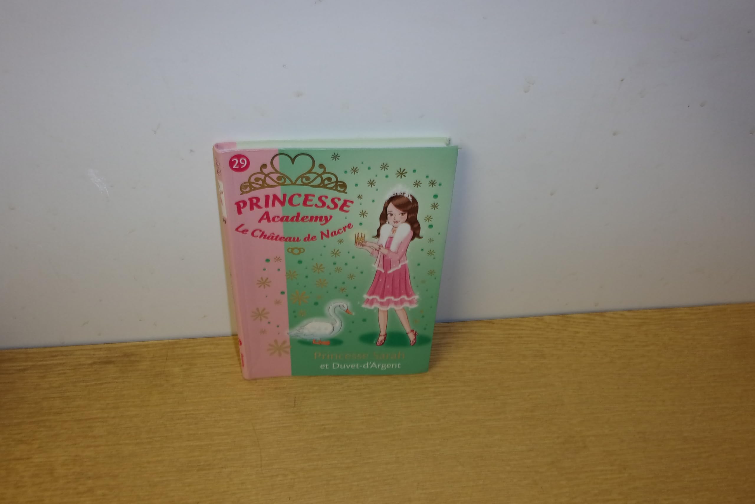 Princesse Academy 29 - Princesse Sarah et Duvet-d'Argent 9782012018556
