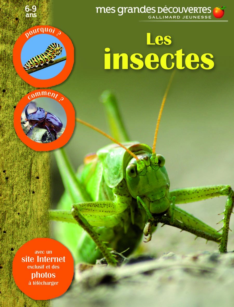 Les insectes 9782070622917