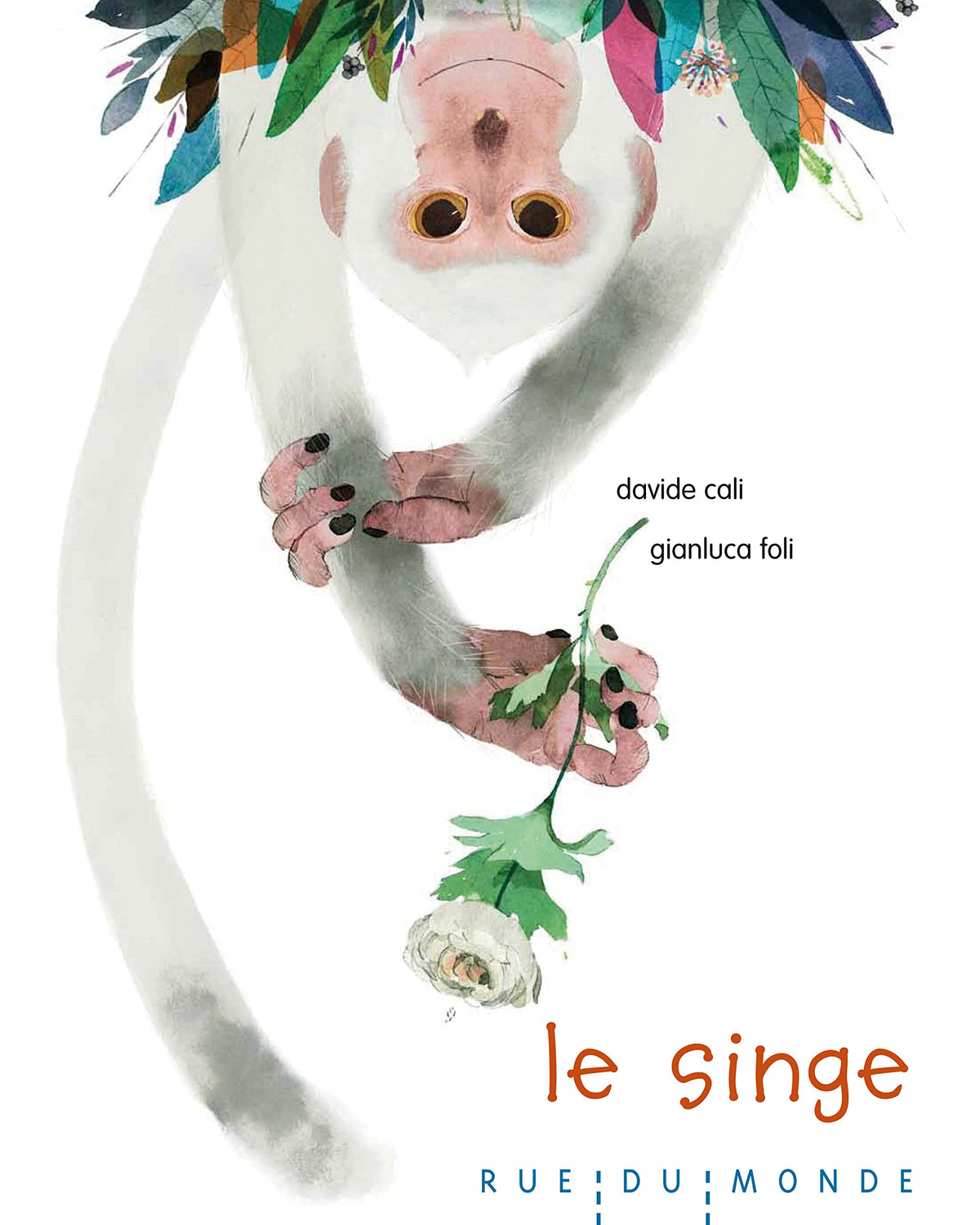 Le singe 9782355042836