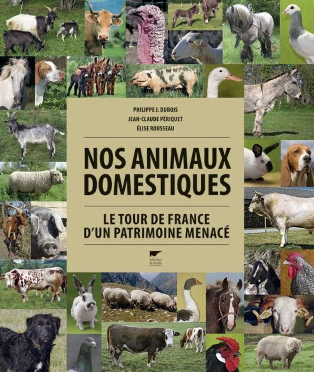 Nos animaux domestiques: Le tour de France d'un patrimoine menacé 9782603016237