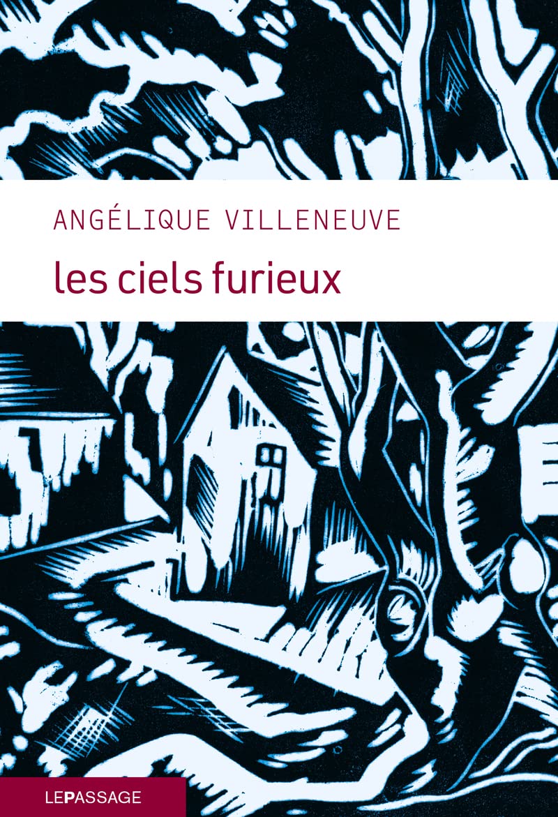 Les Ciels furieux 9782847425048