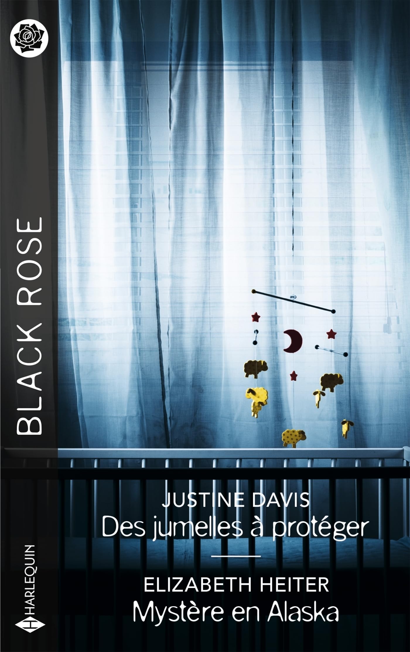 Des jumelles à protéger - Mystère en Alaska 9782280525435