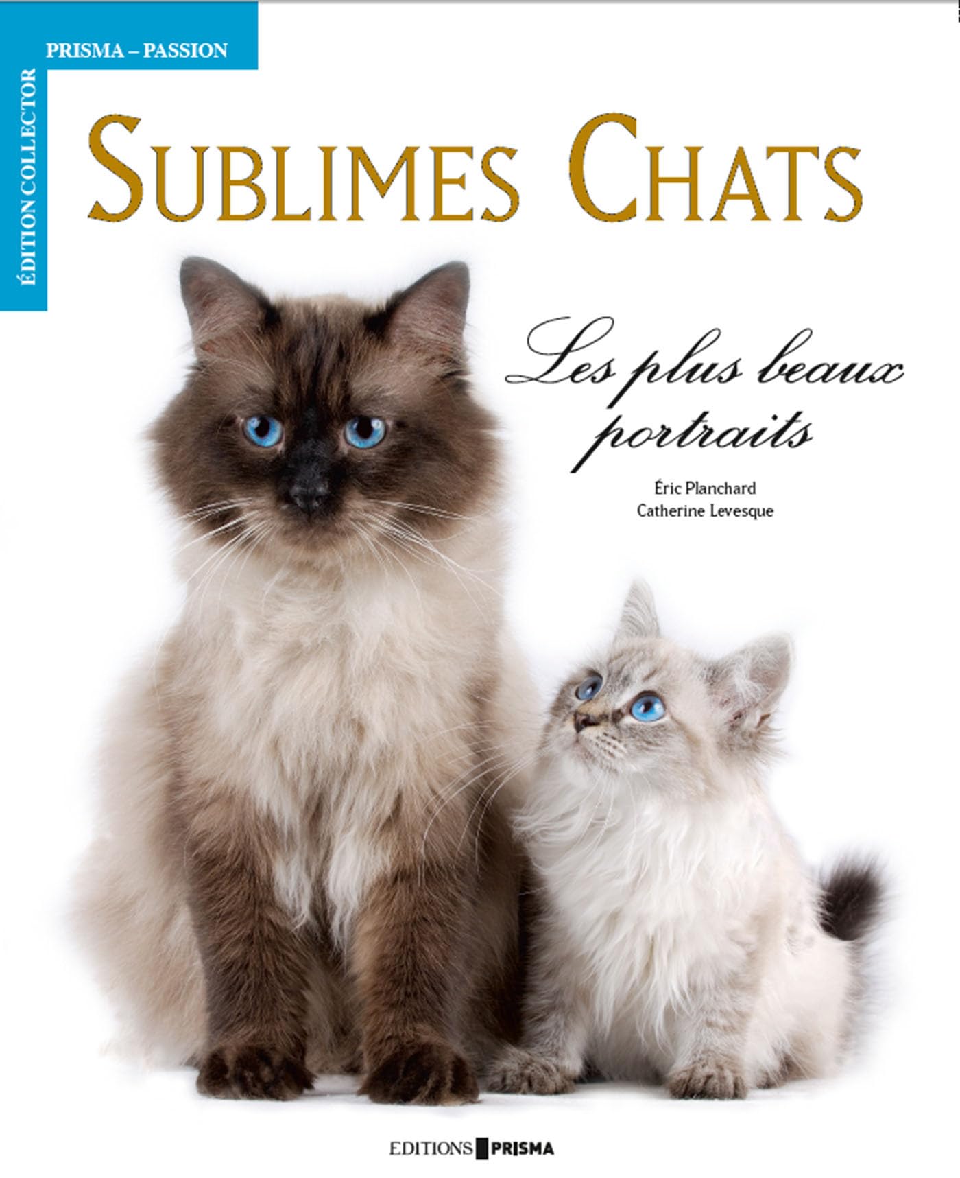 Sublimes Chats - Les plus beaux portraits 9782810404742