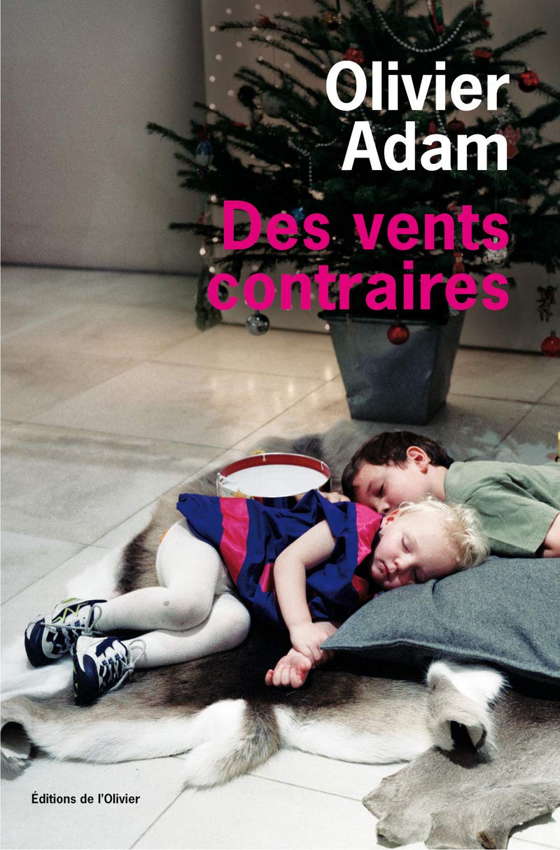 Des vents contraires 9782879296463