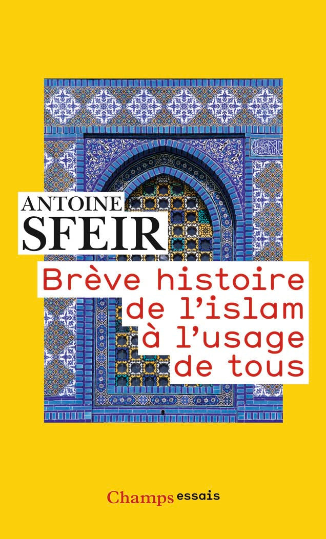 Brève histoire de l'islam à l'usage de tous 9782081363472