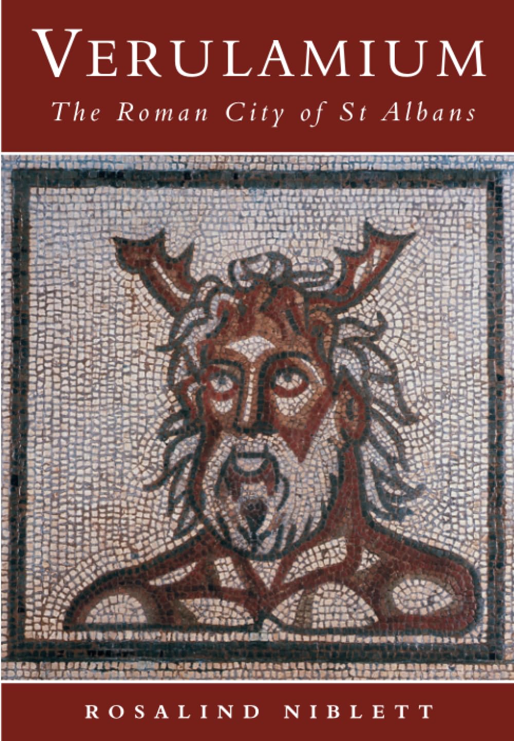 Verulamium: The Roman City of St Albans 9780752419152