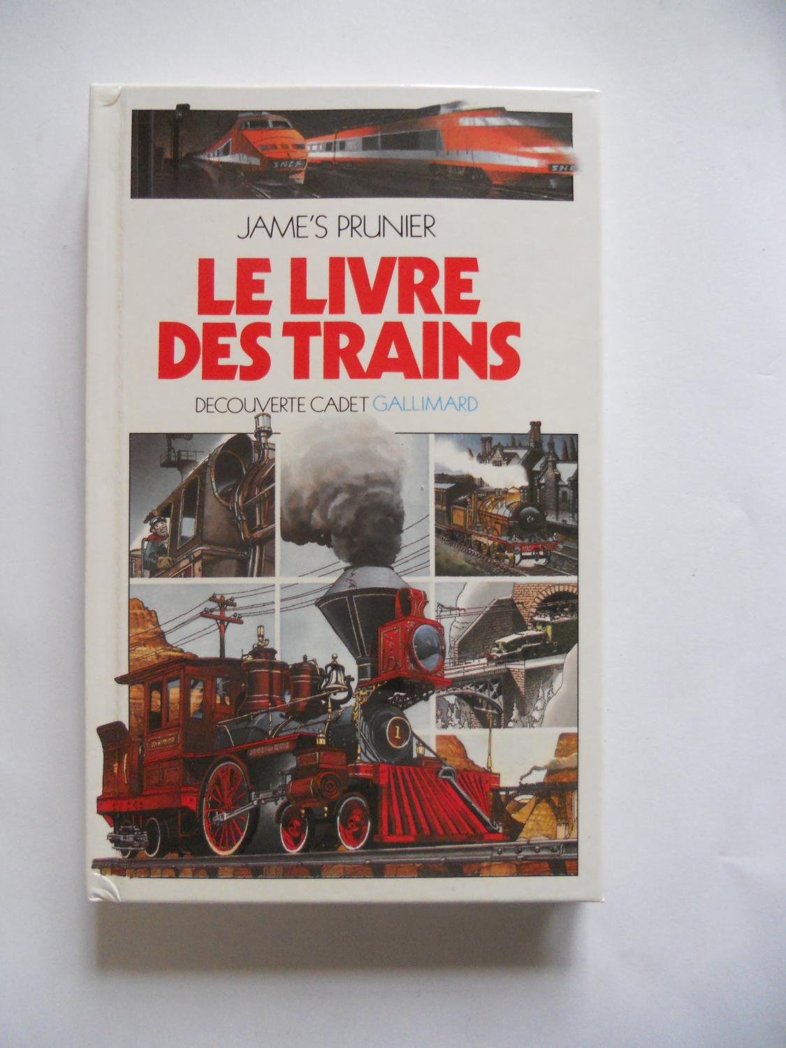 Le livre des trains 9782070395279