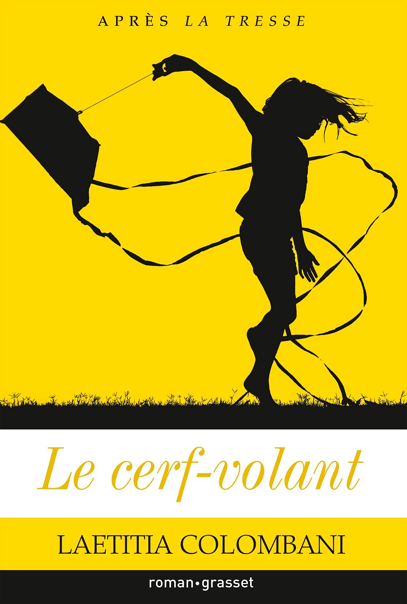 Le cerf-volant 9782246828808