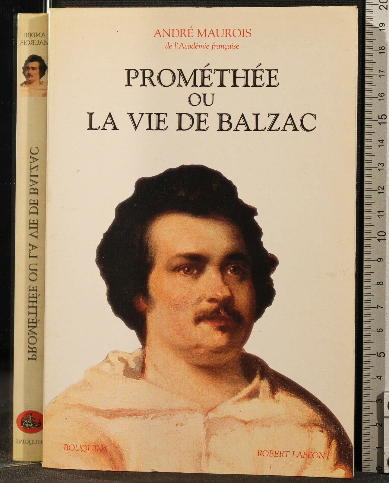 Prométhée ou La vie de Balzac 9782221911952