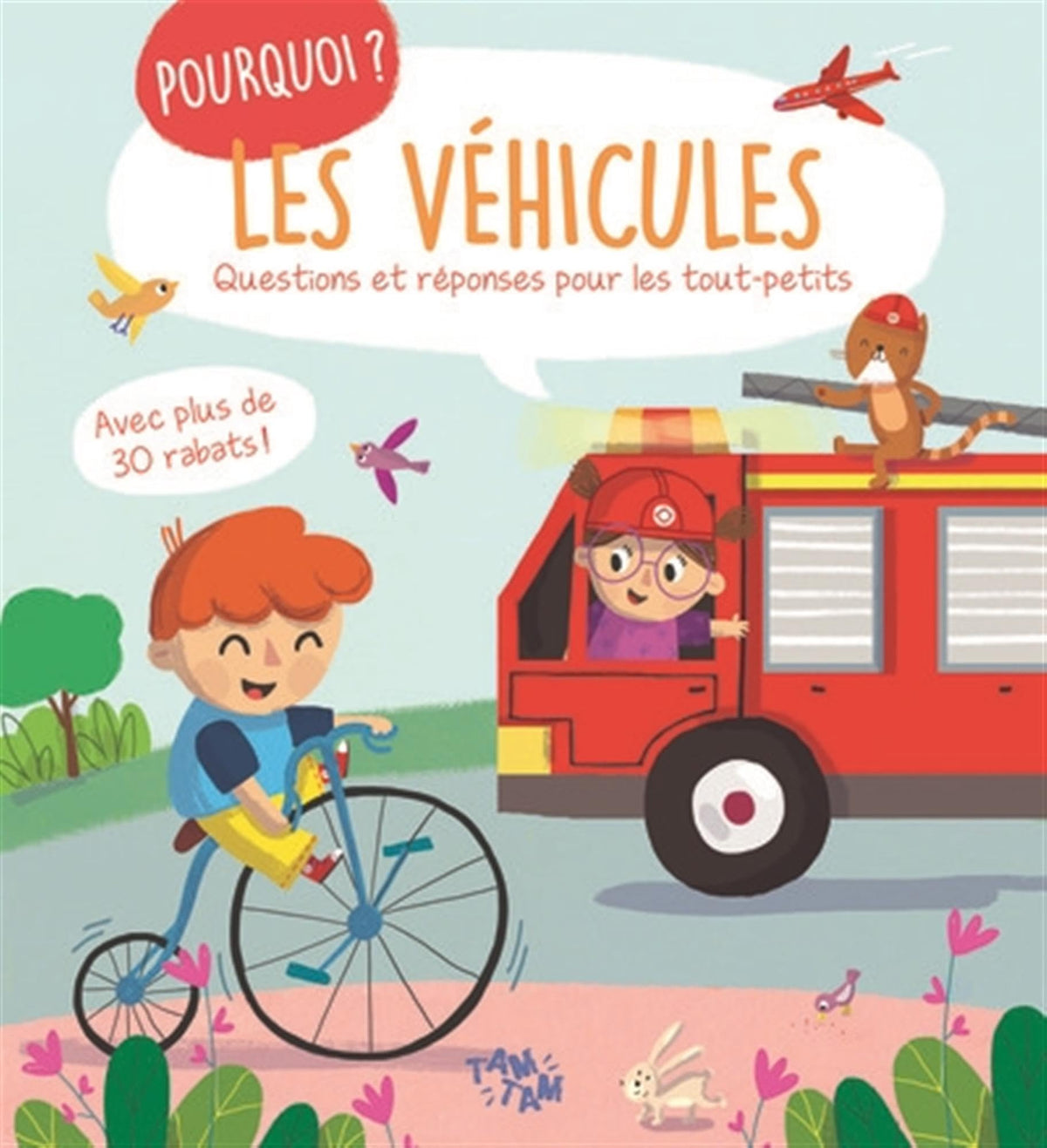 Les véhicules - Pourquoi ? 9789464766042