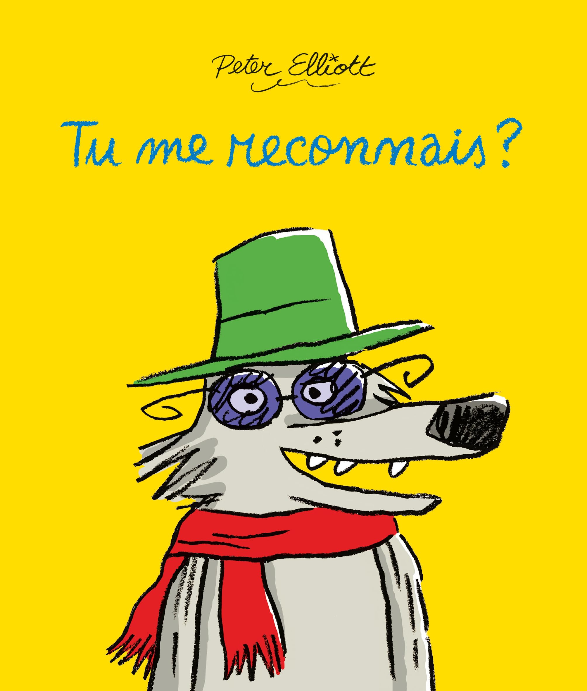 Tu me reconnais ? 9782211339988