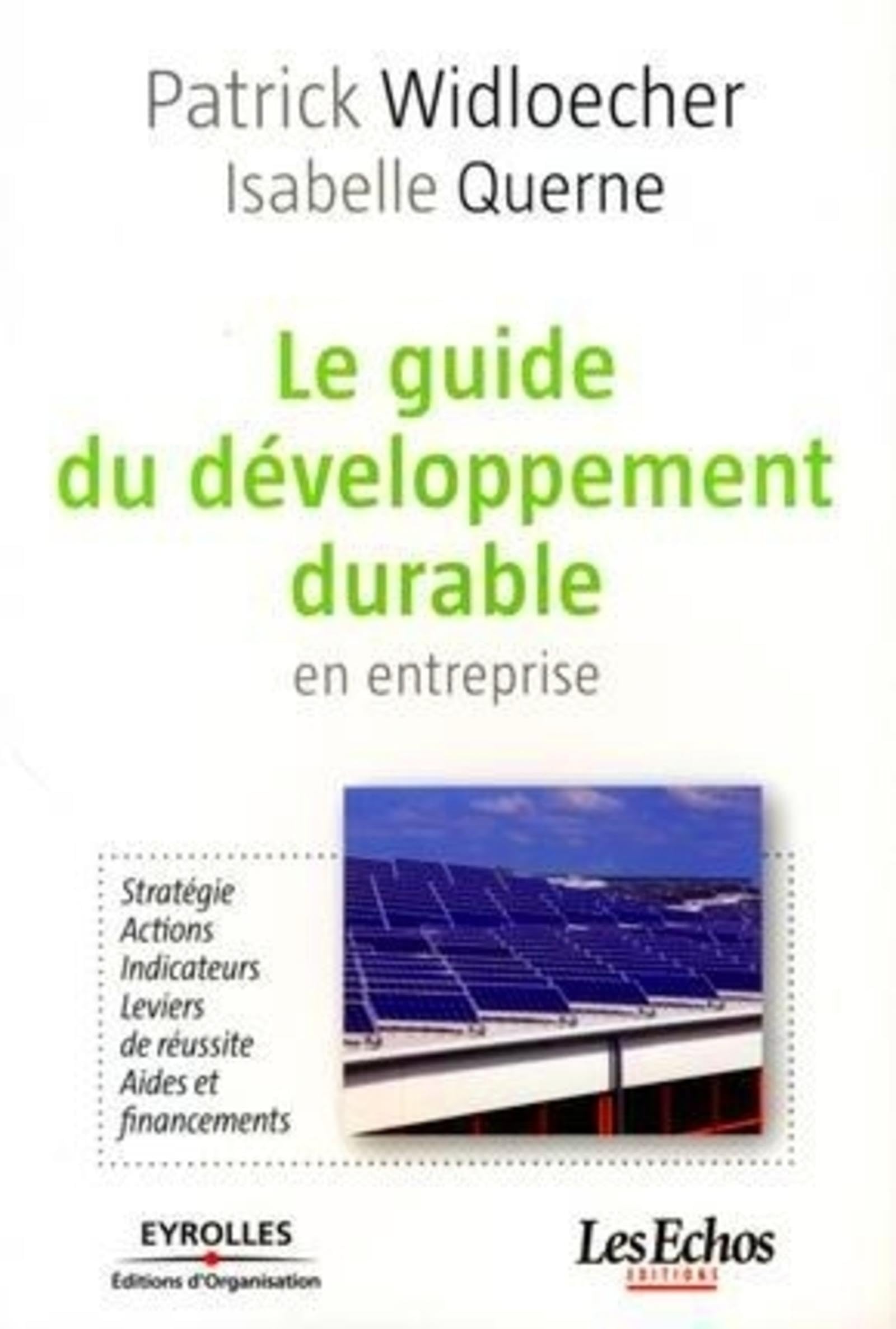 Le guide du développement durable en entreprise: Stratégie. Actions. Indicateurs. Leviers de réussite. Aides et financements. 9782212543117