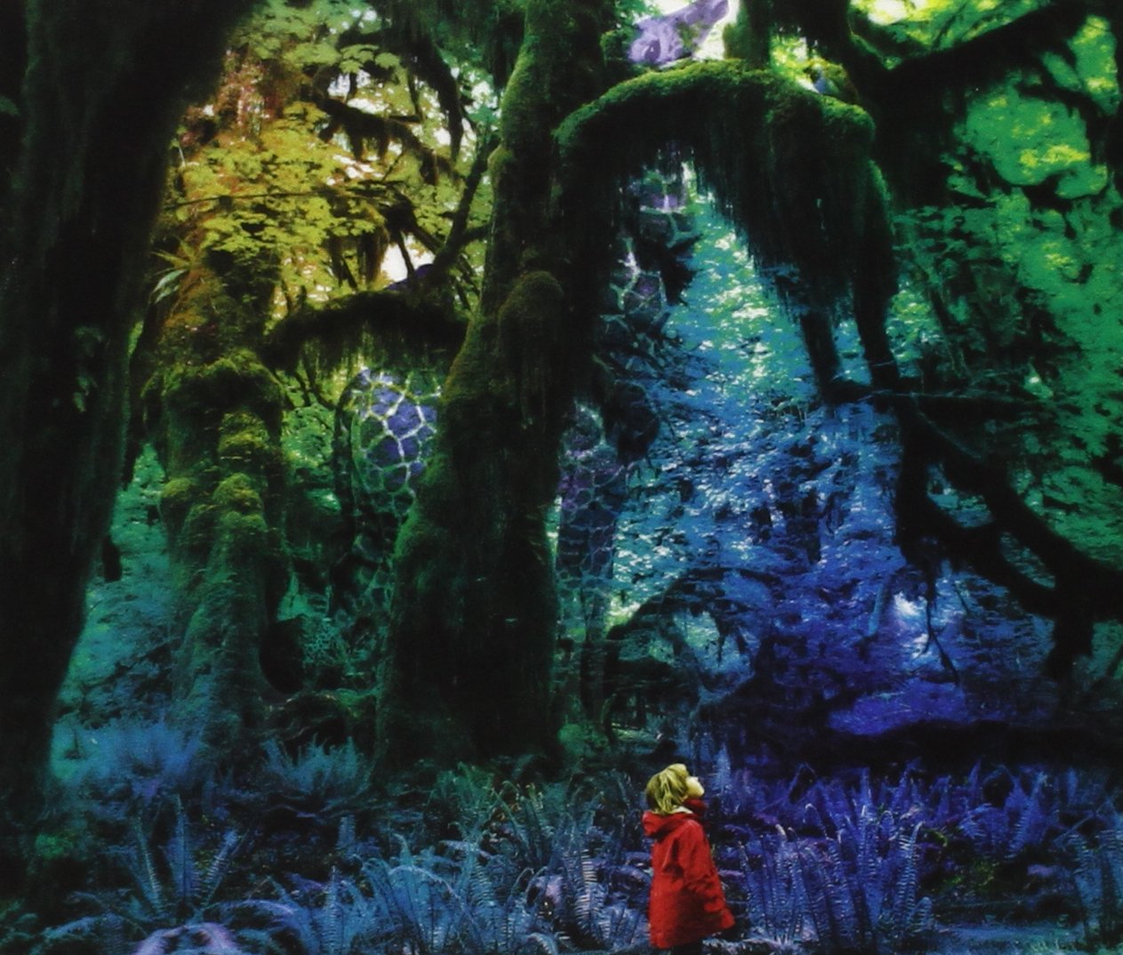 Cabinet of Curiosities [Import] 0700371264475