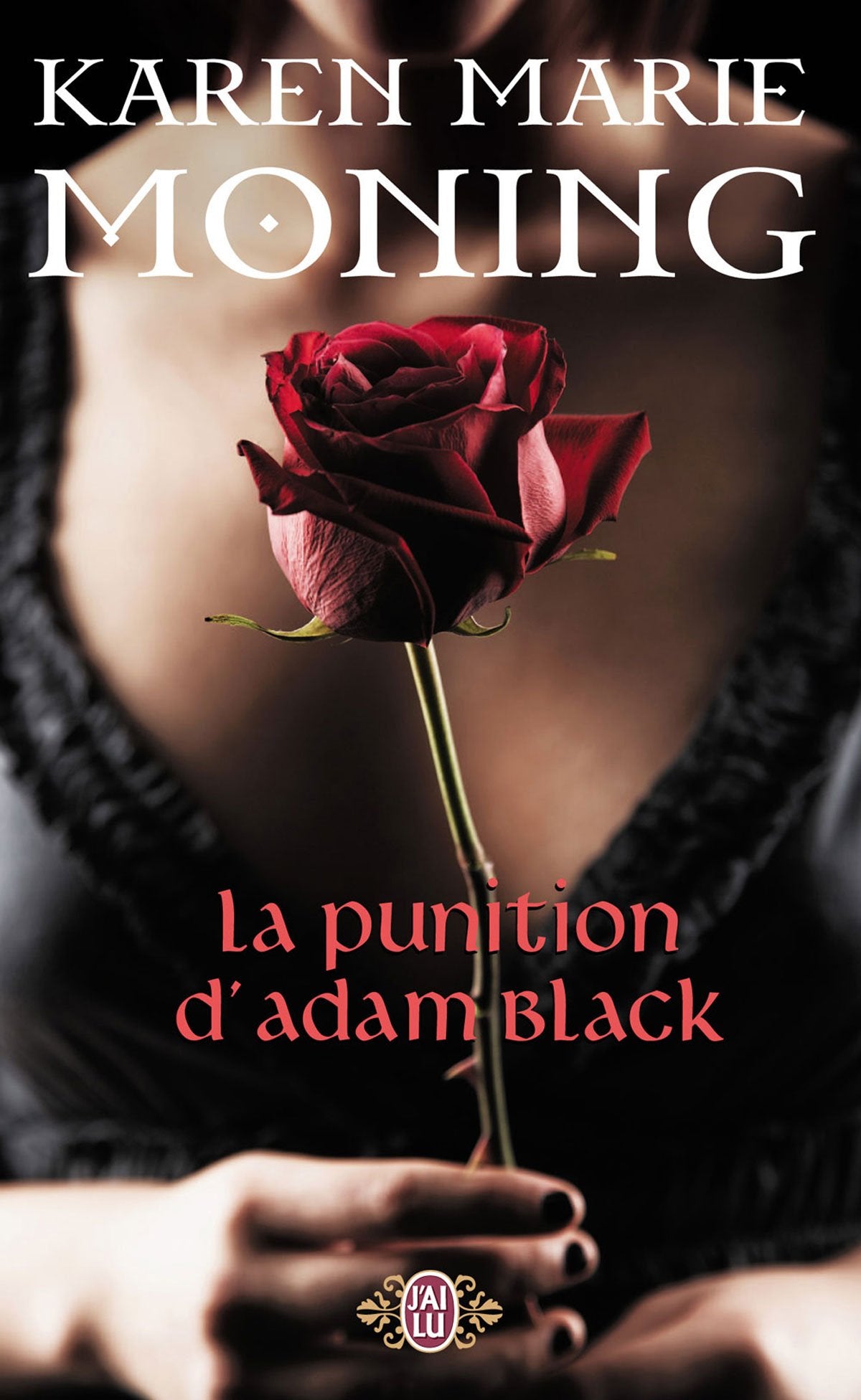 La punition d'Adam Black 9782290013892