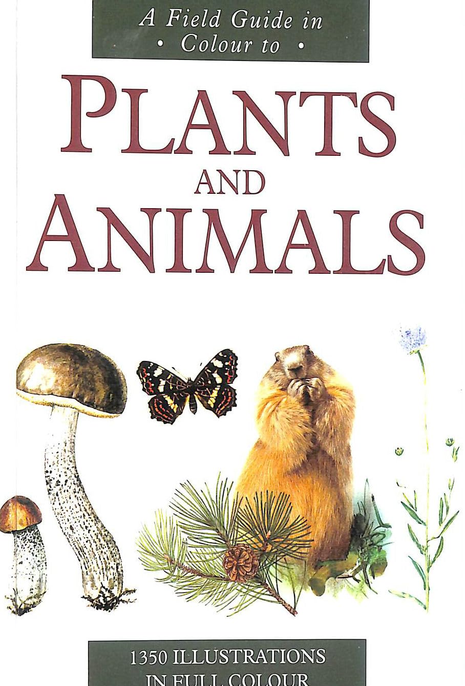 A Field Guide in Colour to Plants and Animals 9781851521753