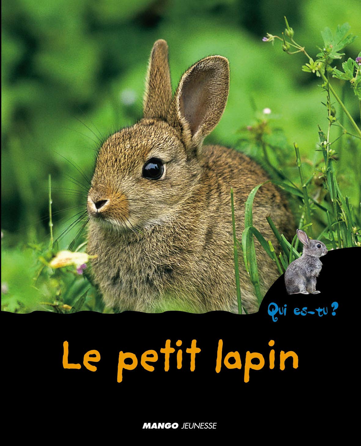 Le petit lapin 9782740419335