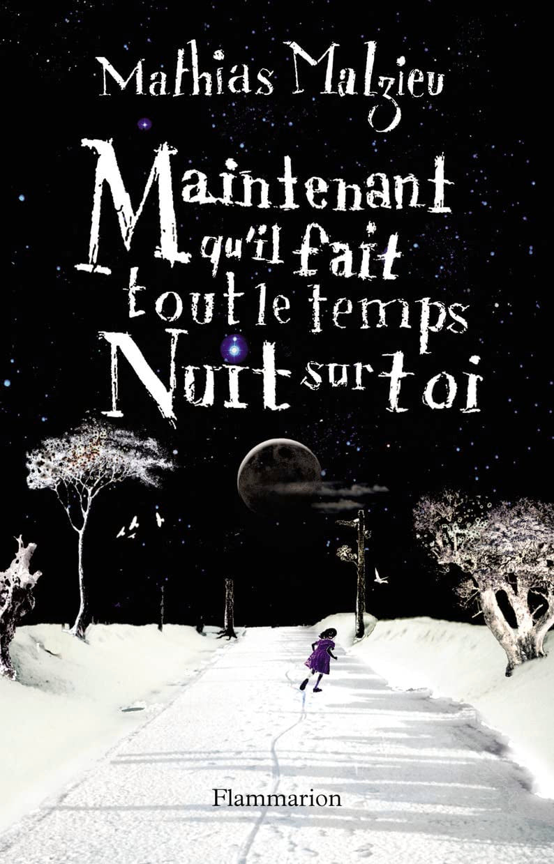 Maintenant qu'il fait tout le temps nuit sur toi 9782080688187