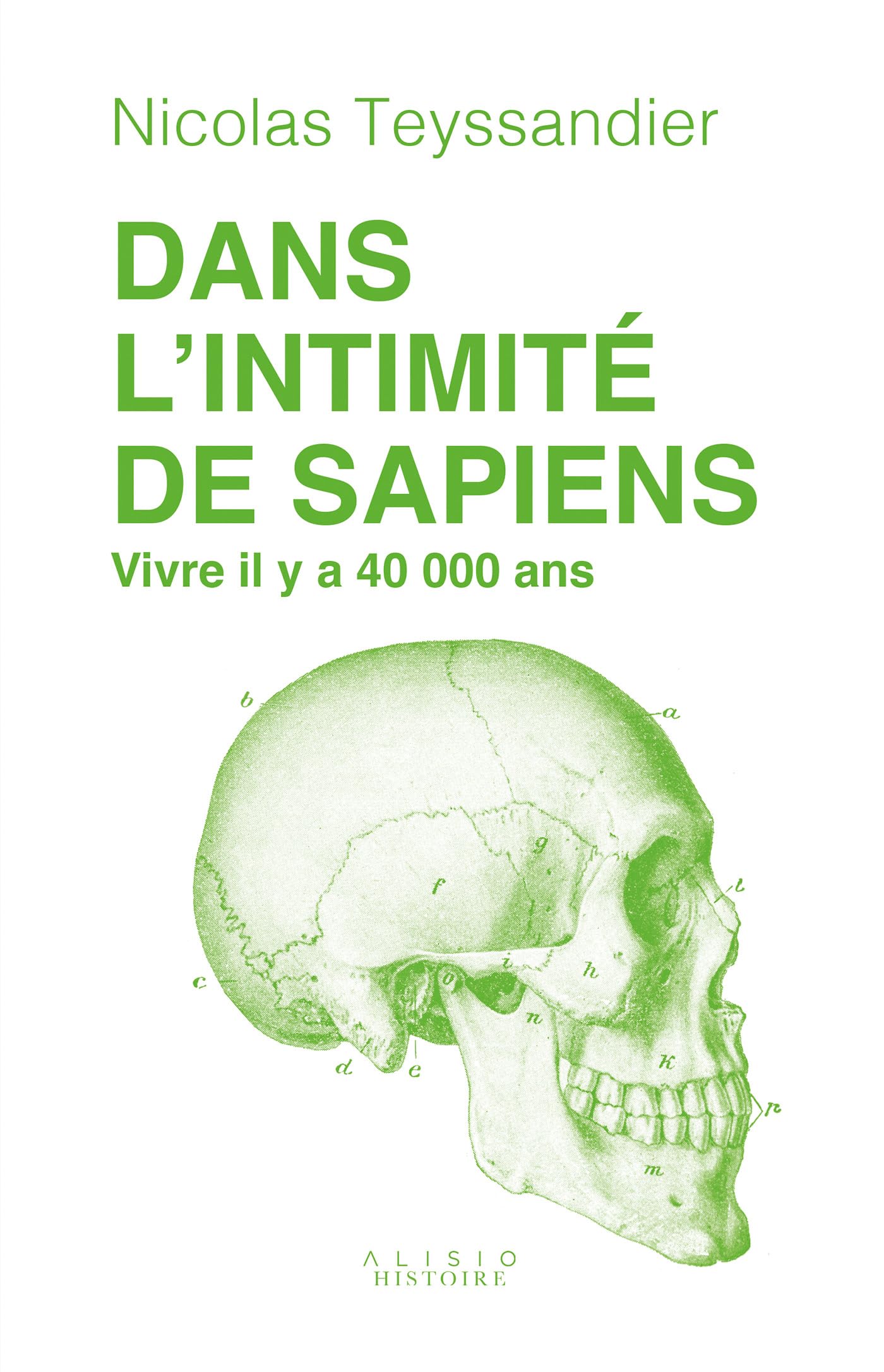 Dans l'intimité de Sapiens: Vivre il y a 40 000 ans 9782379354236