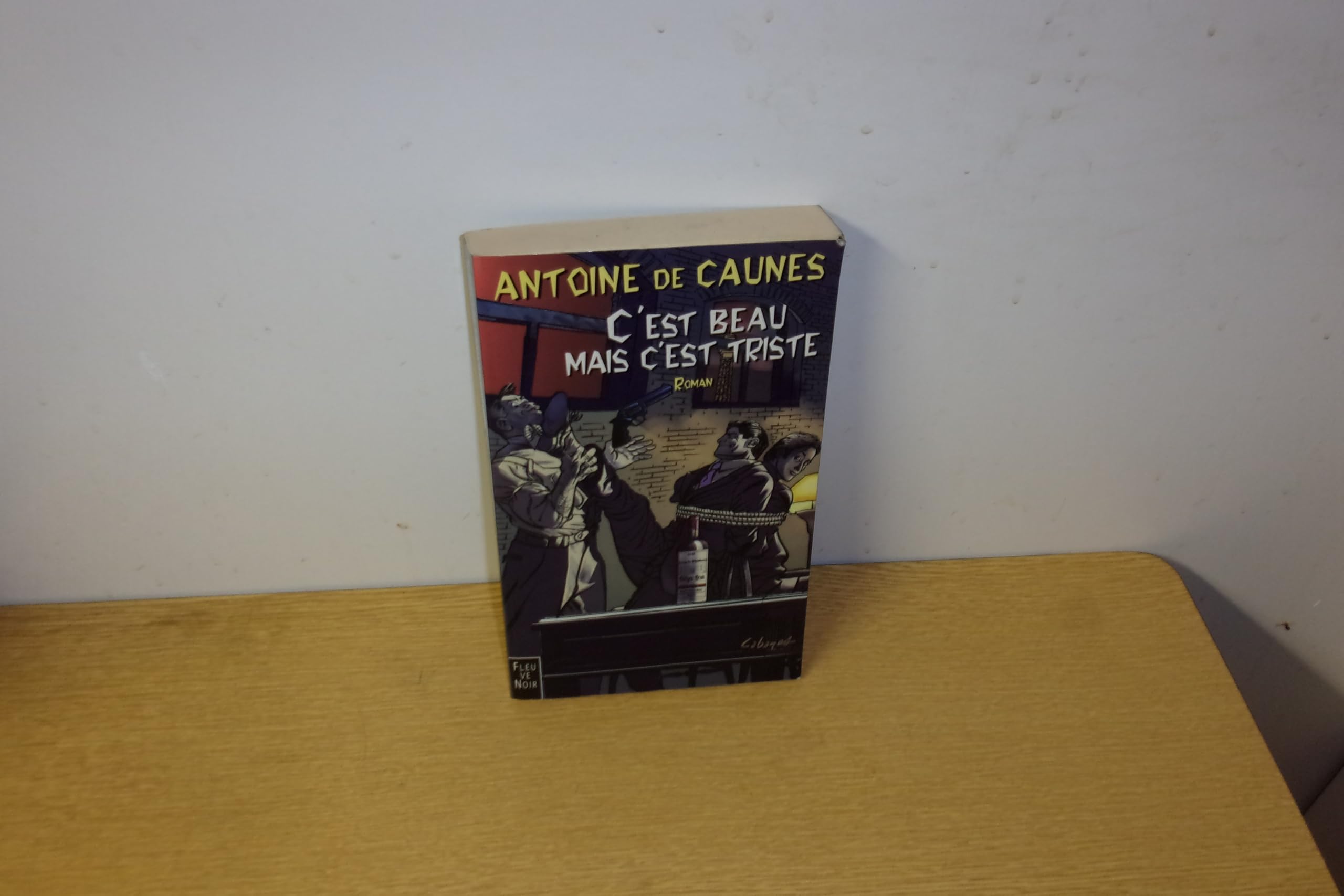 C'est beau mais c'est triste 9782265065659