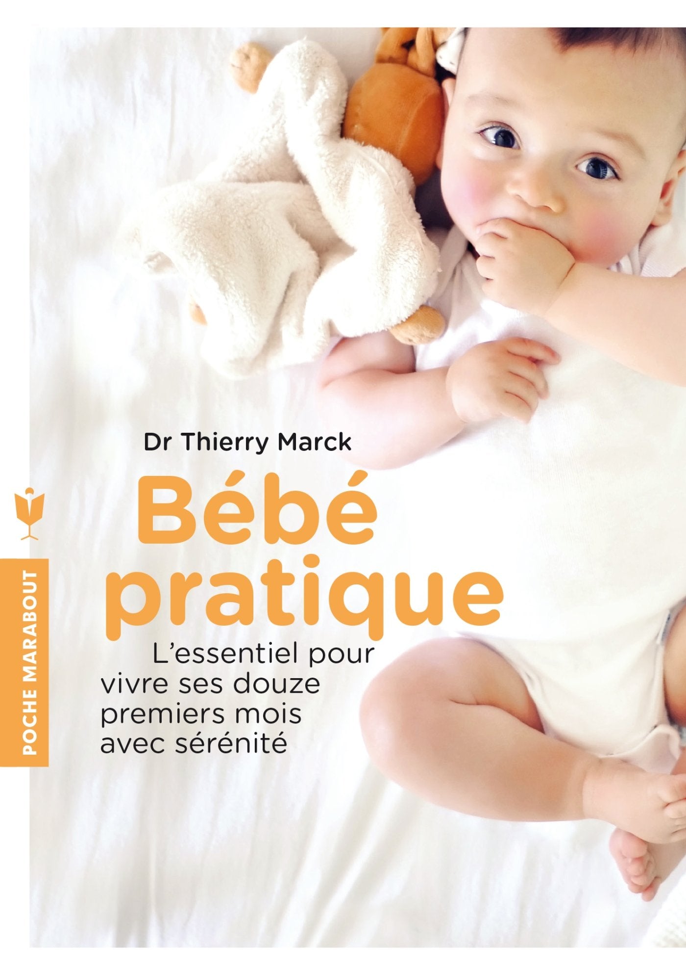 Bébé pratique: L'essentiel pour vivre ses 12 premiers mois avec sérénité 9782501089302