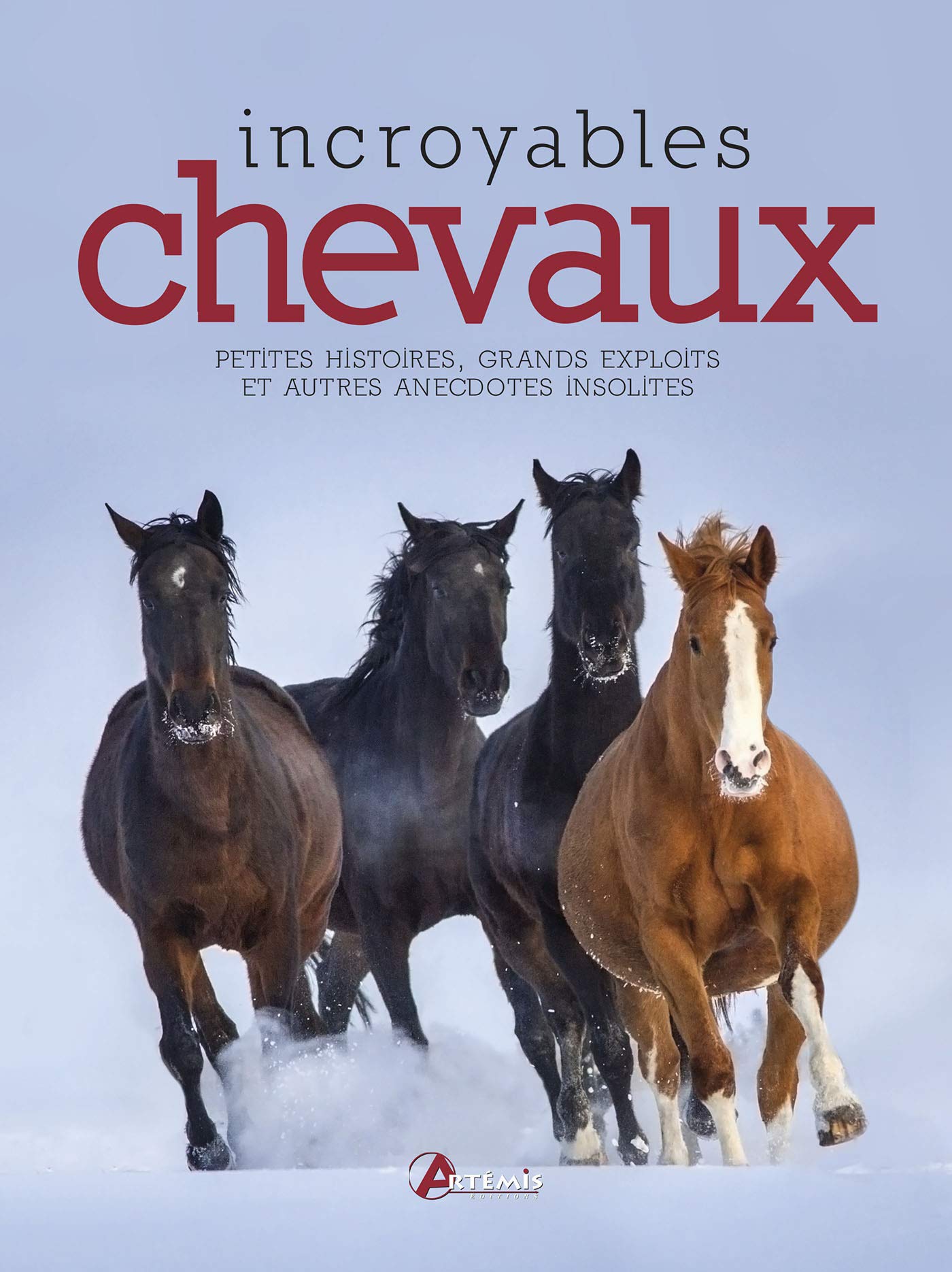 Incroyables chevaux 9782816012187