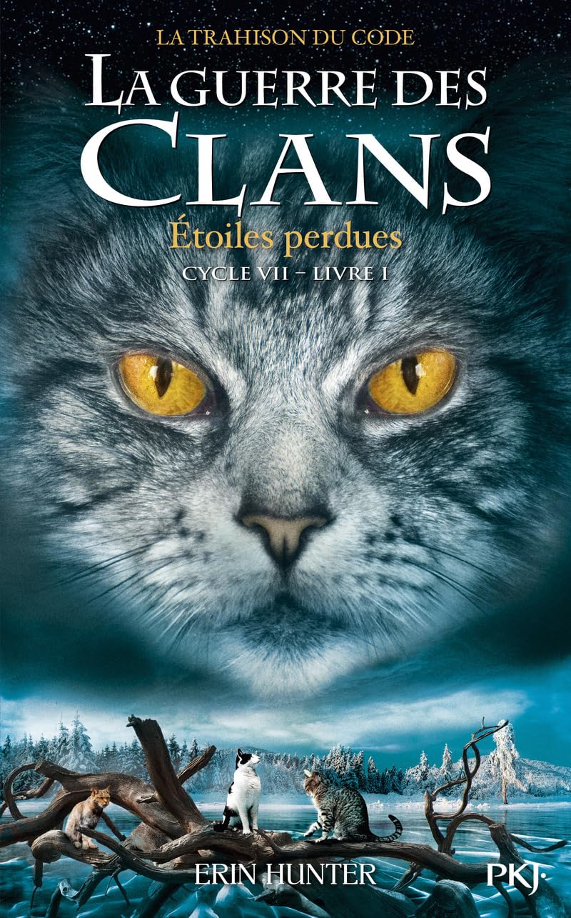 La guerre des Clans, cycle VII - tome 01 : Étoiles perdues (1) 9782266331685