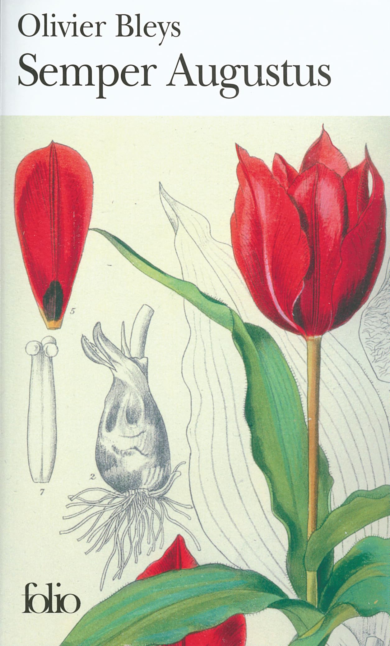 Semper Augustus 9782070358588