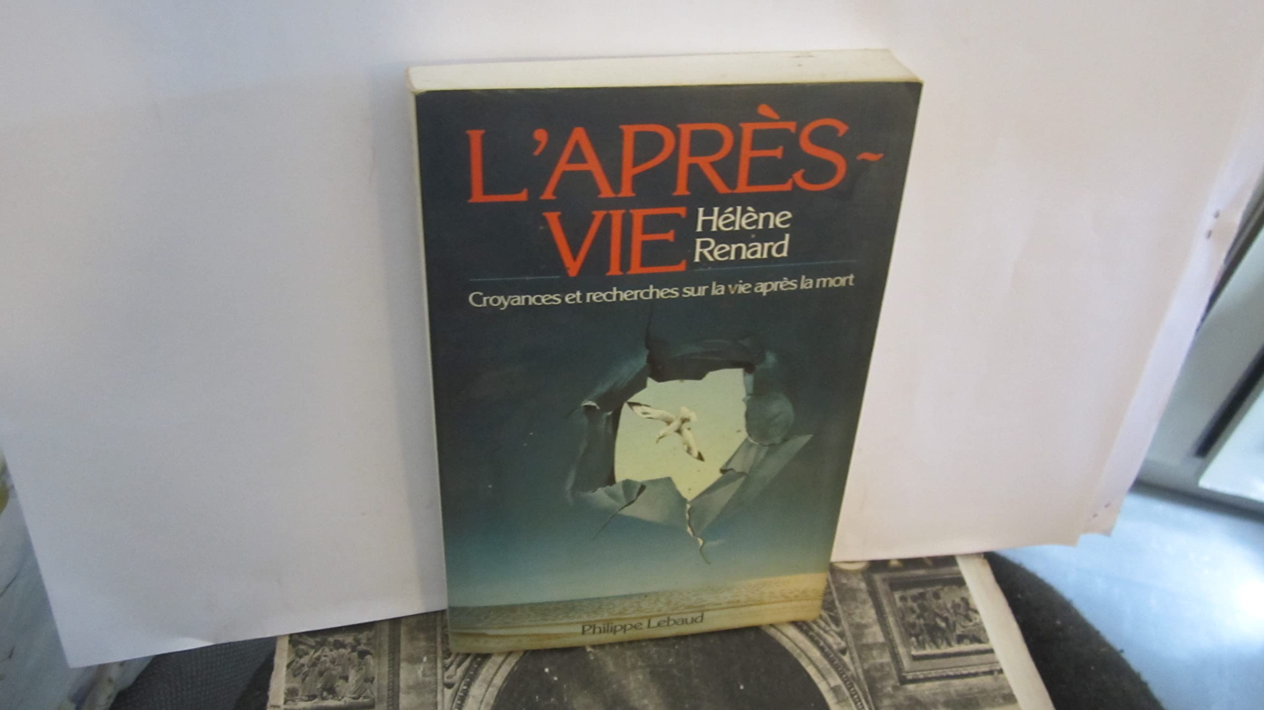 L'après vie 9782865940172