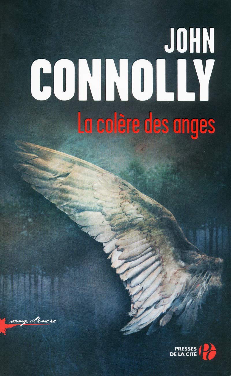 La Colère des anges 9782258101074