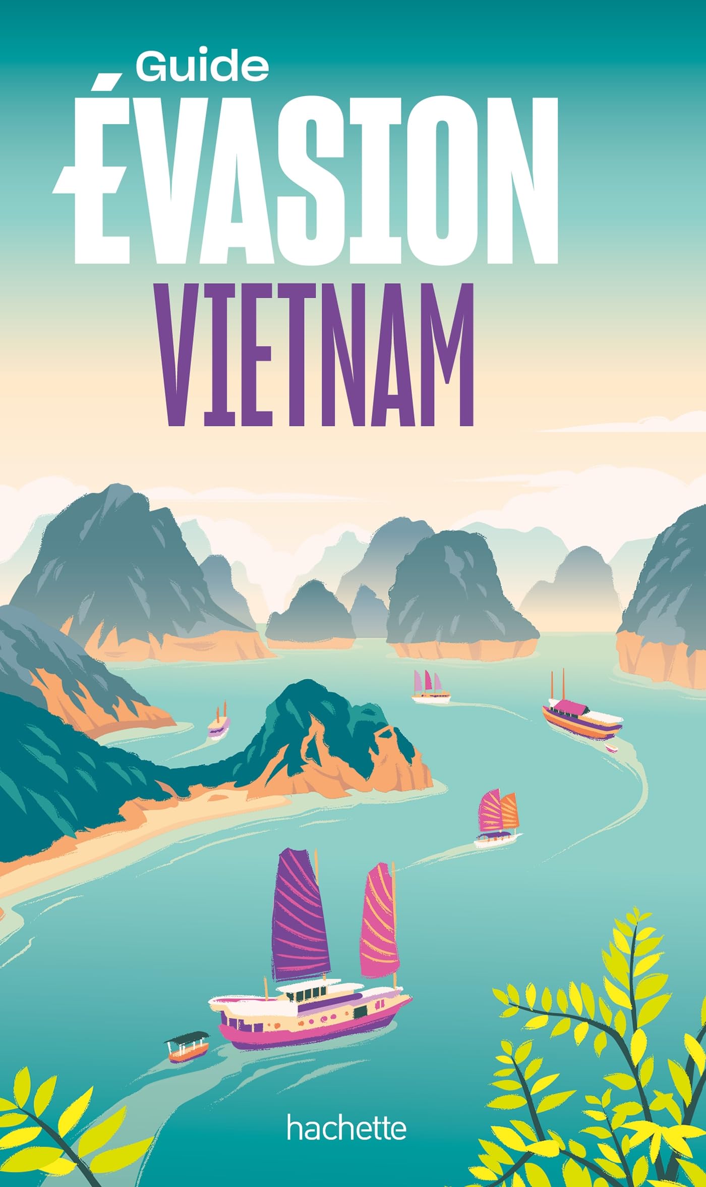 Vietnam Guide Evasion 9782017227588