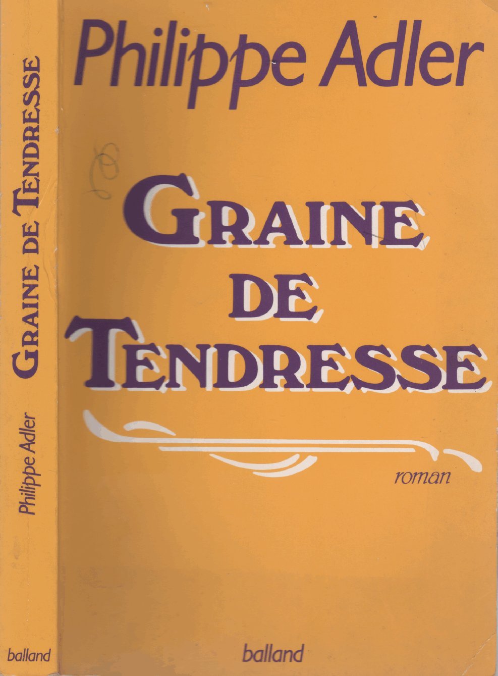 Graine de tendresse / roman 9782715807440