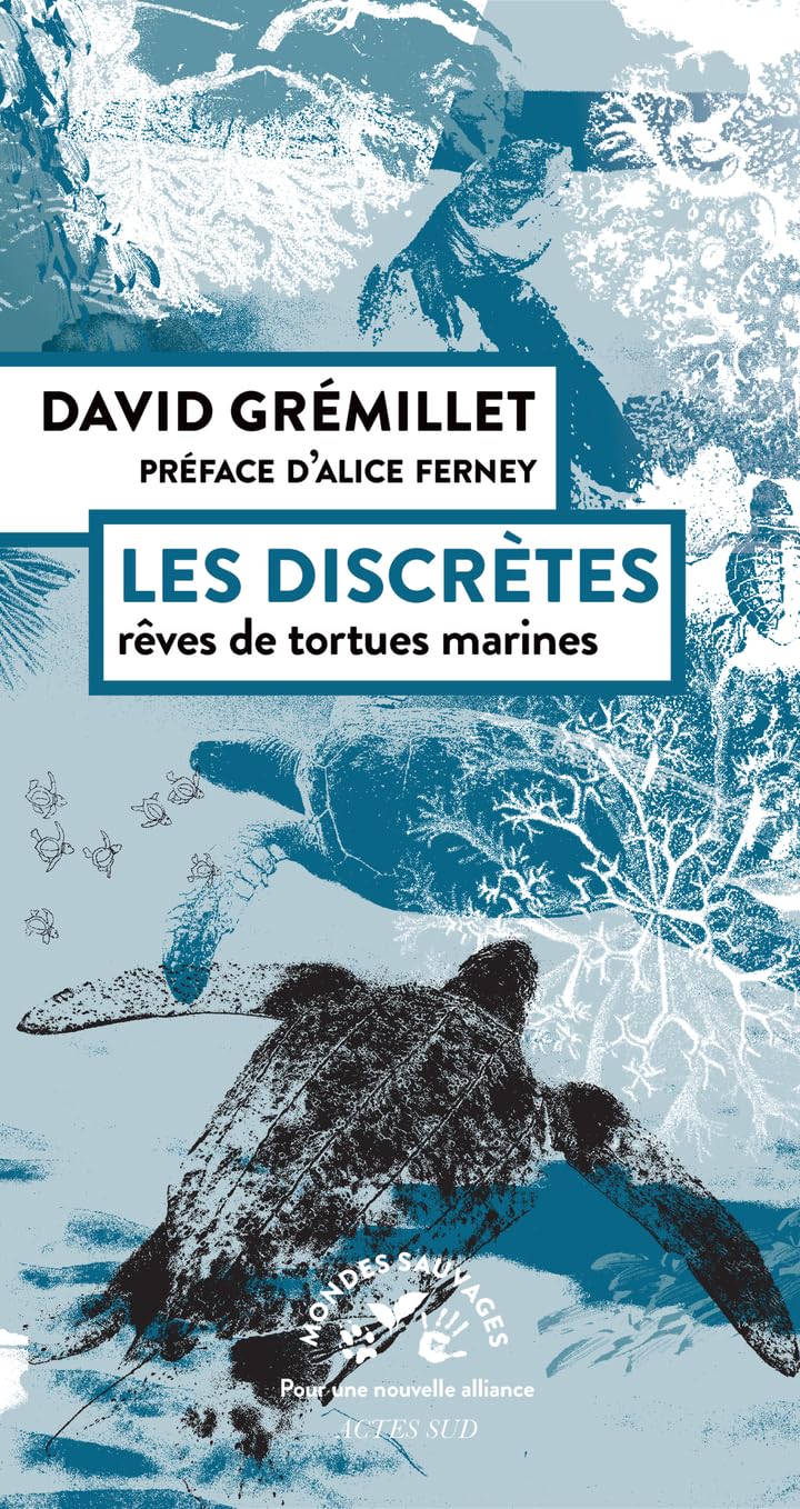 Les discrètes: Rêves de tortues marines 9782330209520