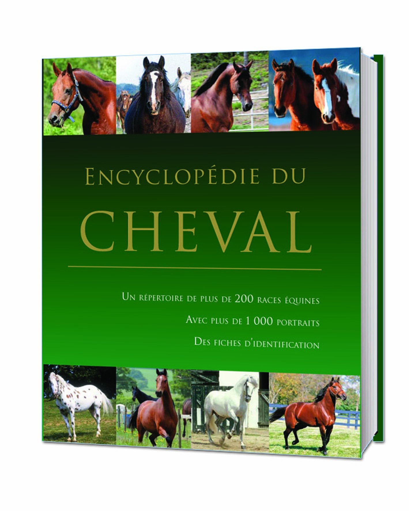 Encyclopédie du cheval 9781407570075