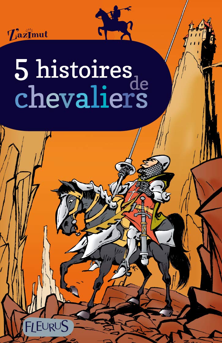 5 histoires de chevaliers 9782215107279