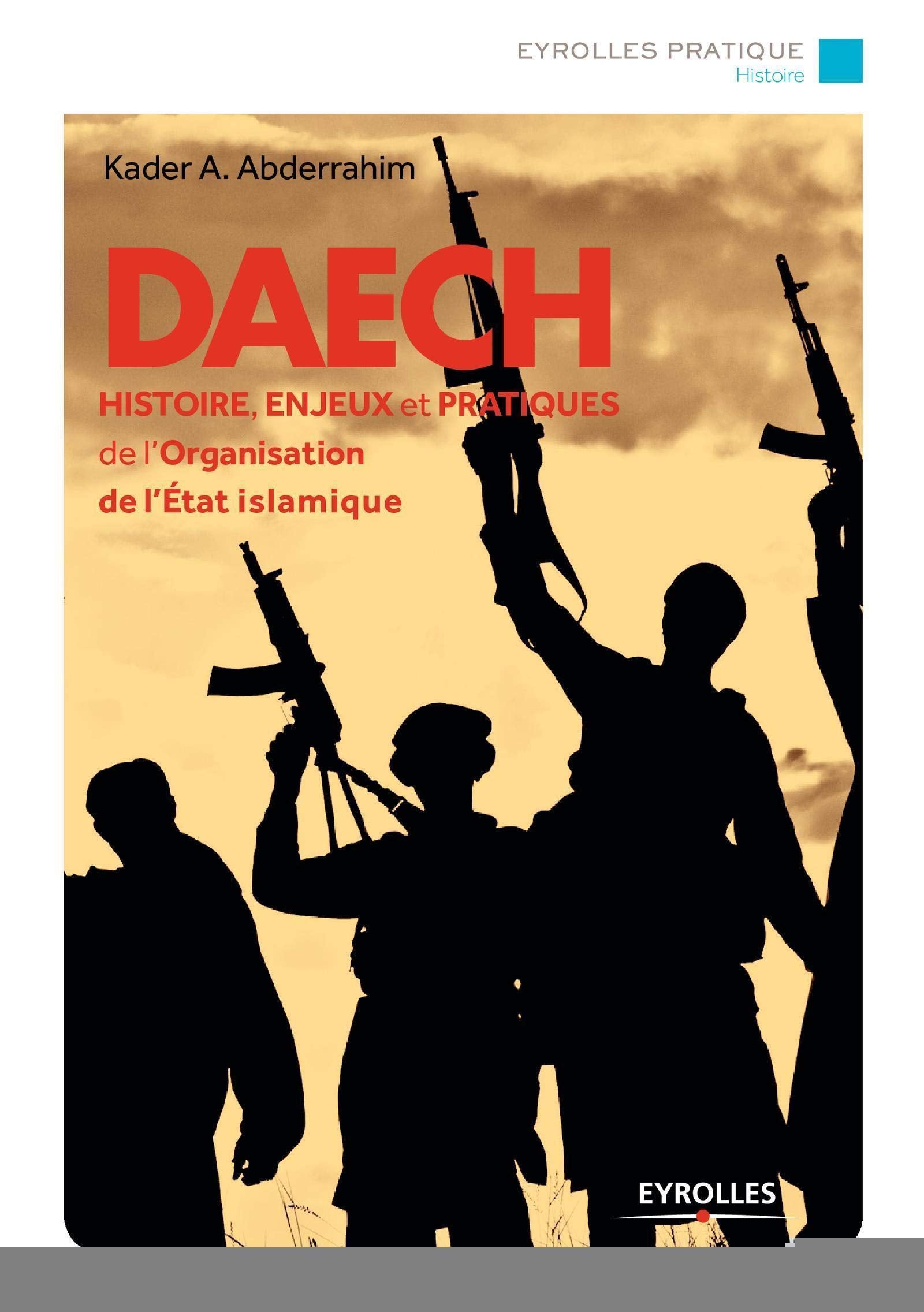DAECH: Histoire, enjeux et pratiques de l'Organisation de l'Etat islamique. 9782212564839