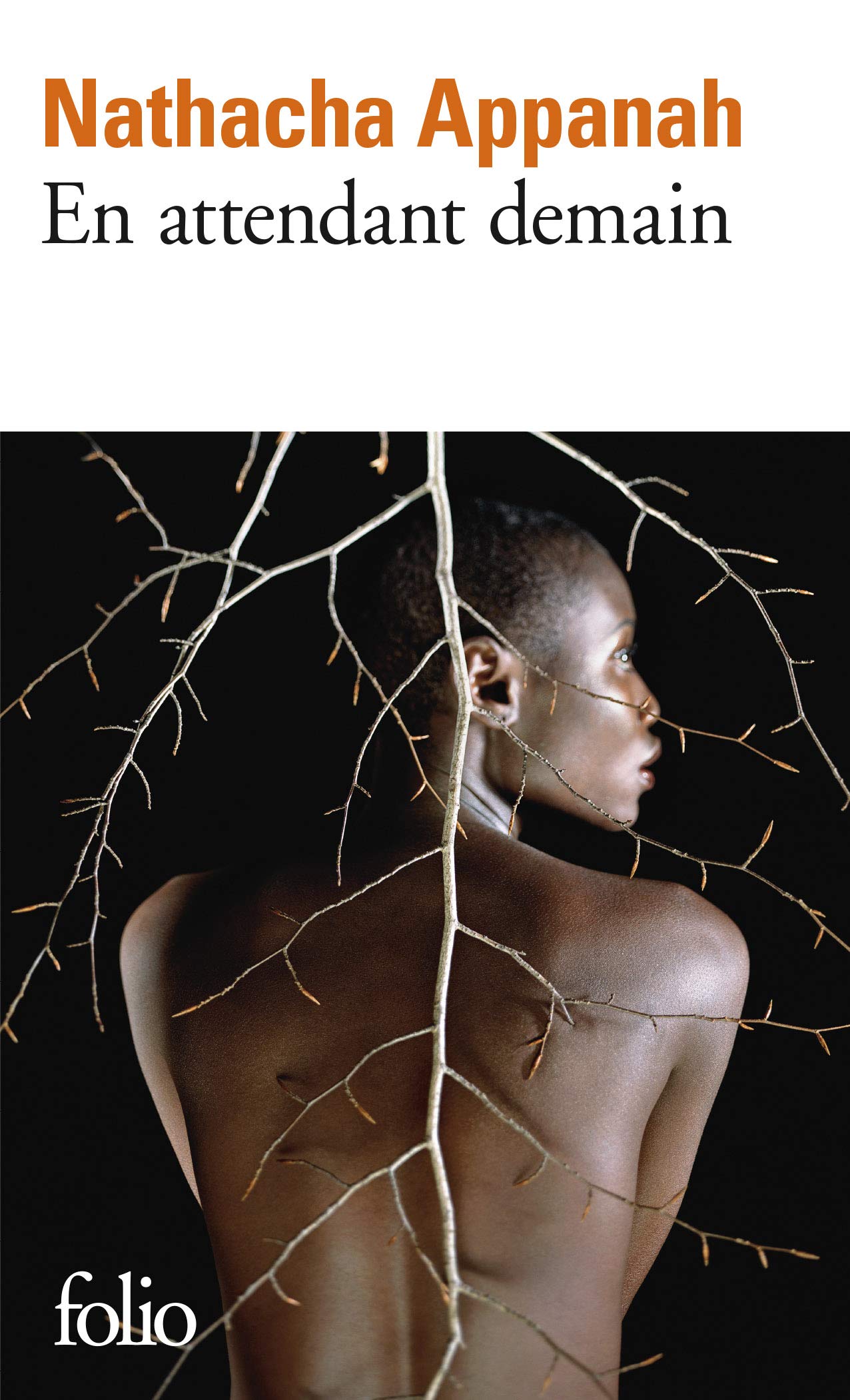 En attendant demain 9782070792771