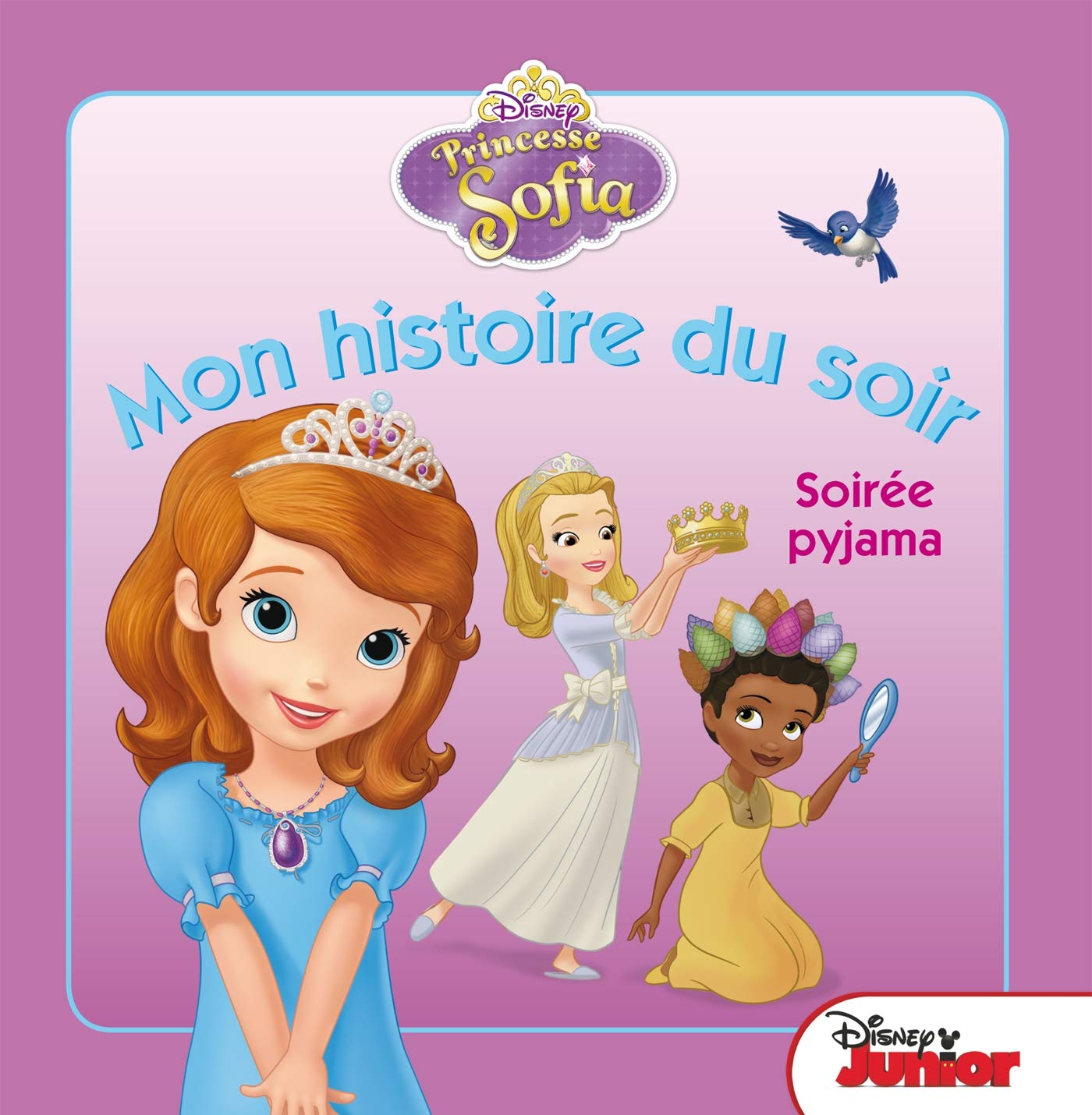 Princesse Sofia: Soirée pyjama 9782014009163